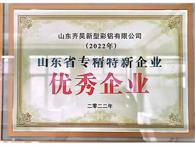 2022年山东省专精特新优秀企业