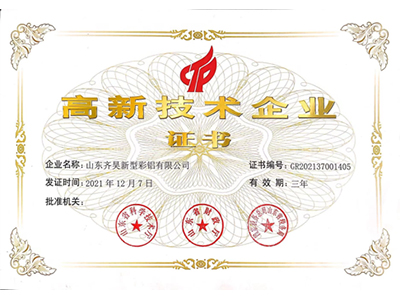 2021 年高新技术企业