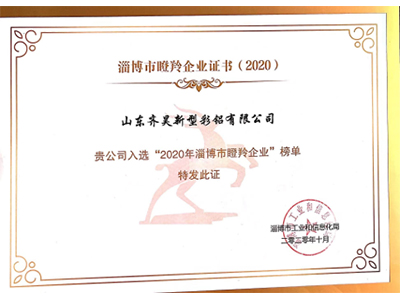 2020 年淄博市瞪羚企业